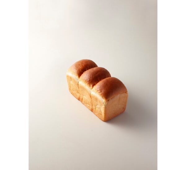 Image module